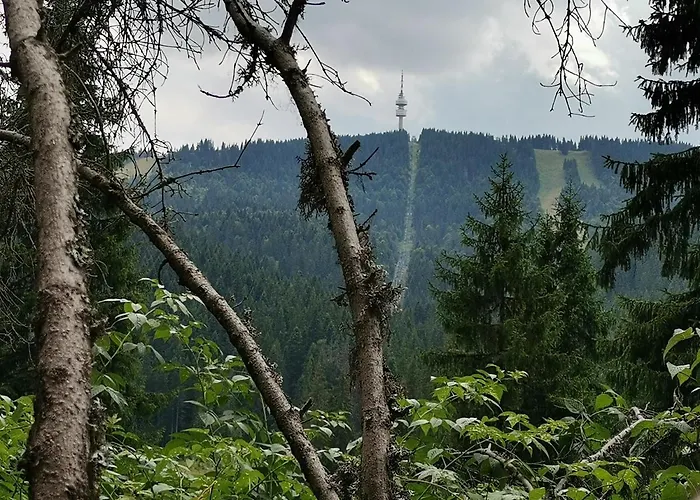 Ana/ ана Apartment Pamporowo