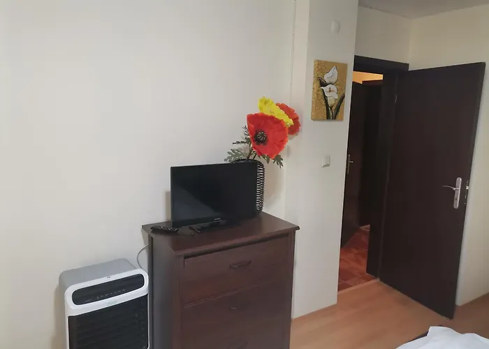 Apartment Ana/ ана *